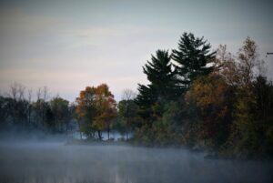 Misty autumn trees by calm lake.